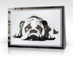 Bulldogge Hunde Motiv Bild Gravur Spiegel Glasbild