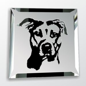 Pitbull Pit Bull Motiv Wandspiegel Design Hunde Deko Glas Bild