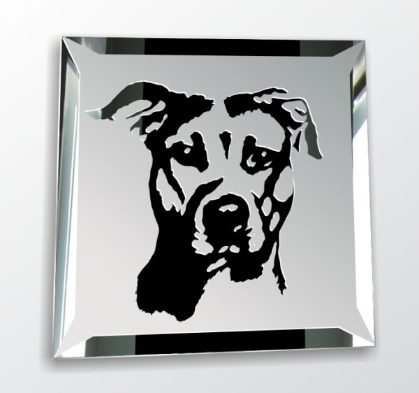 Pitbull Pit Bull Motiv Wandspiegel Design Hunde Deko Glas Bild